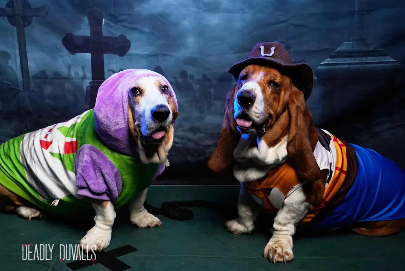 Two basset hounds in Buzz Lightyear and cowboy costumes at a Deadly Duvalls dog photo booth in Los Angeles