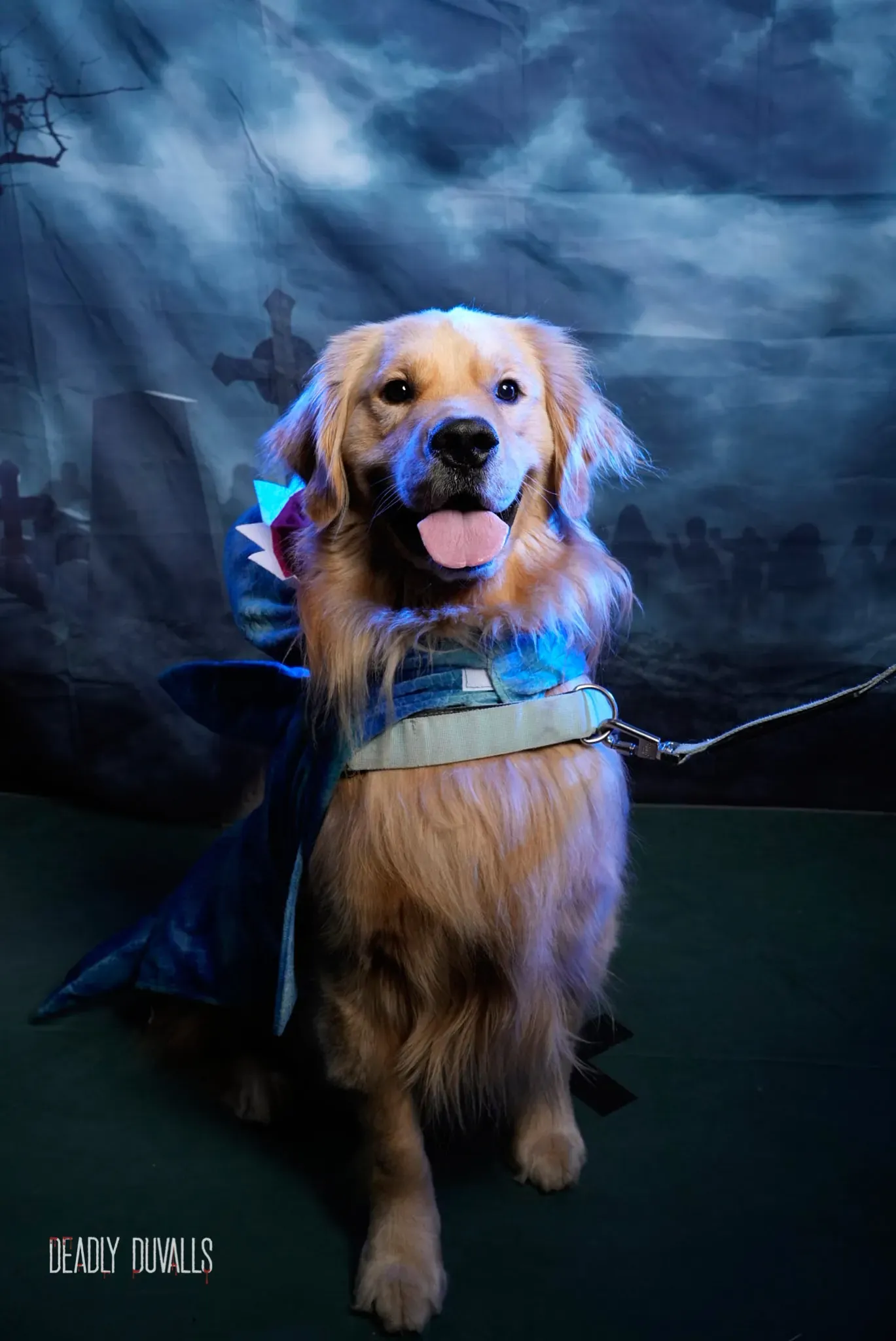 Golden retriever grinning with its tongue out in a blue caped costume against a misty graveyard backdrop — Howl-O-Ween dog photography in Los Angeles